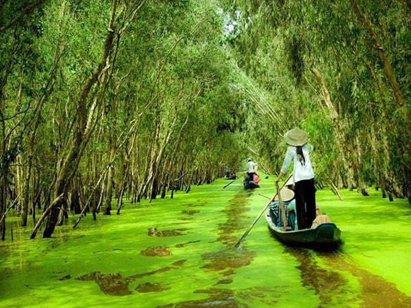 Khu du lịch bến tre lan vương - Thiên đường giải trí đậm chất miền tây sông nước